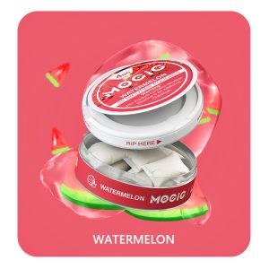 Mocig Nicotine Pouches