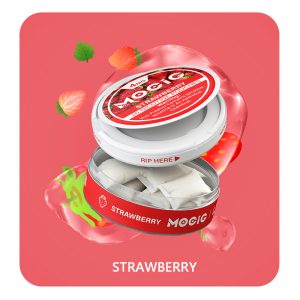 Mocig Nicotine Pouches