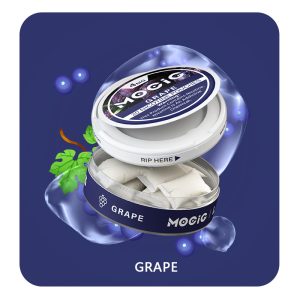 Mocig Nicotine Pouches