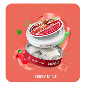 Mocig Nicotine Pouches